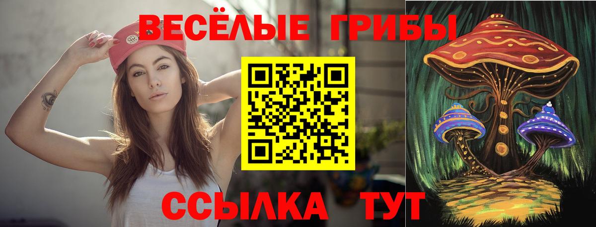 Псилоцибиновые грибы Cubensis Ачхой-Мартан