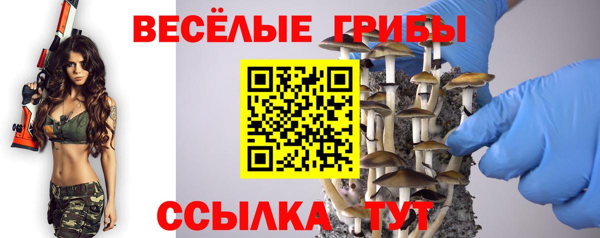 сколько стоит  Галлюциногенные грибы мухоморы  Вход с VPN  Ачхой-Мартан 